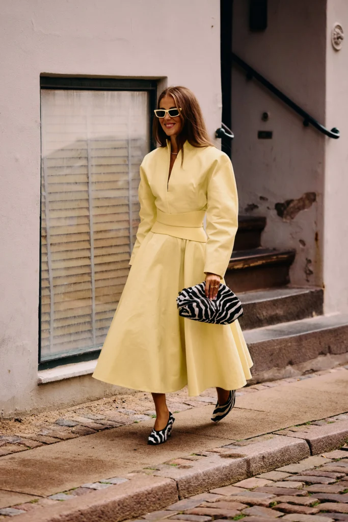 Sapato e Bolsa de Zebra